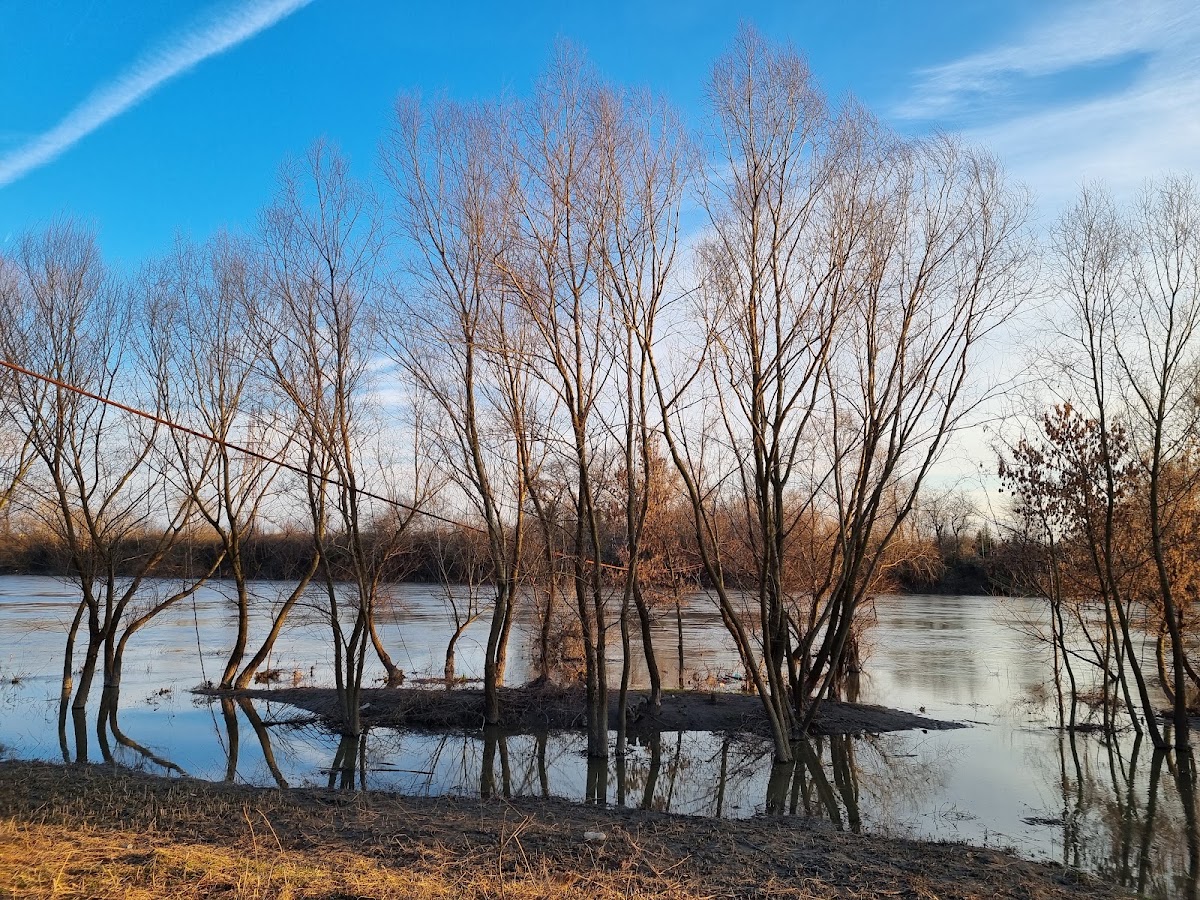 Fotografie de Parc