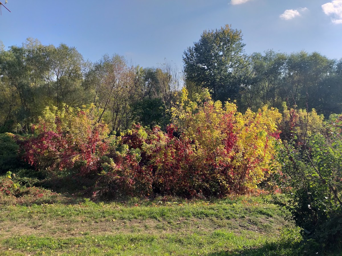 Fotografie de Parc
