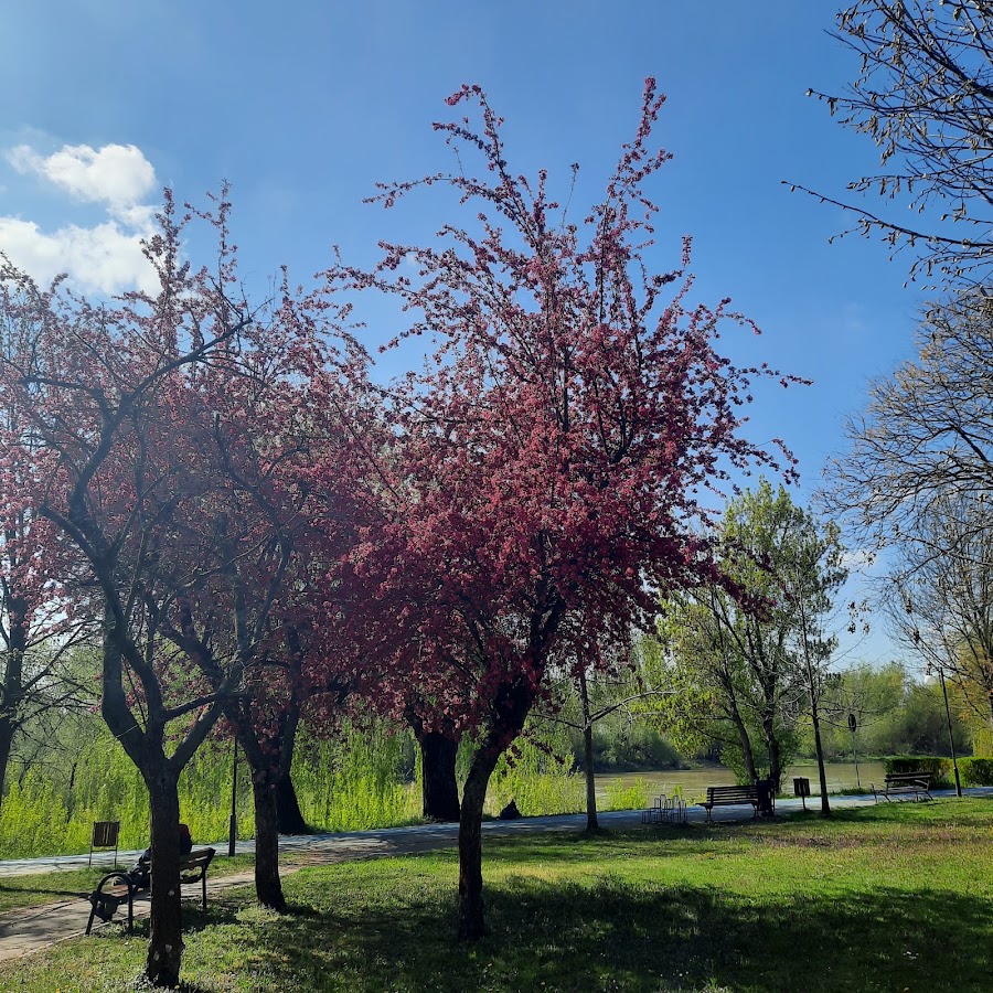 Fotografie de Parc