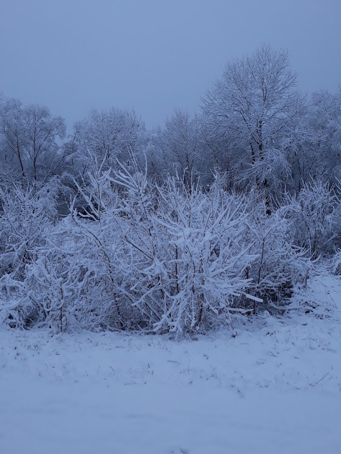 Fotografie de Parc