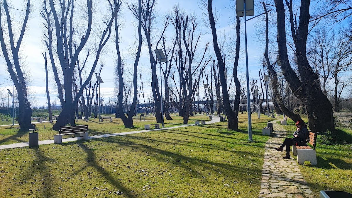 Photo of Parcul Micălaca Zona 300