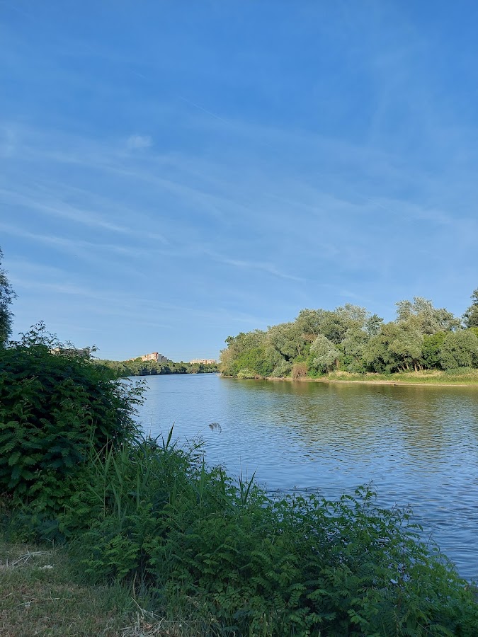 Fotografie a Parcului
