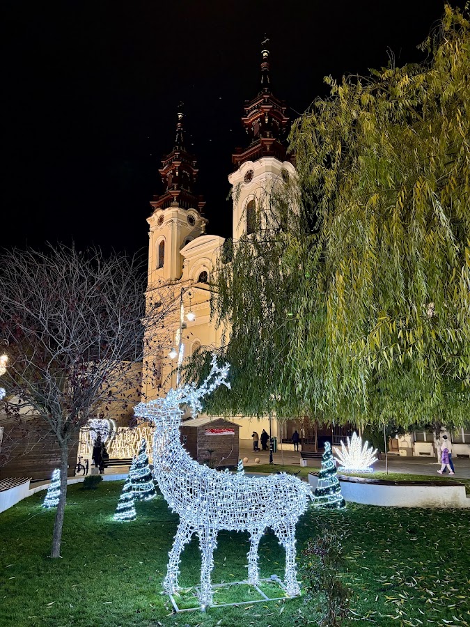 Fotografie de Parcul Piața Catedralei Vechi
