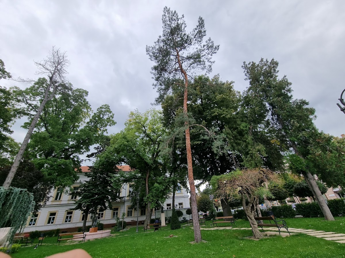 Photo of Parcul Bujor Buda