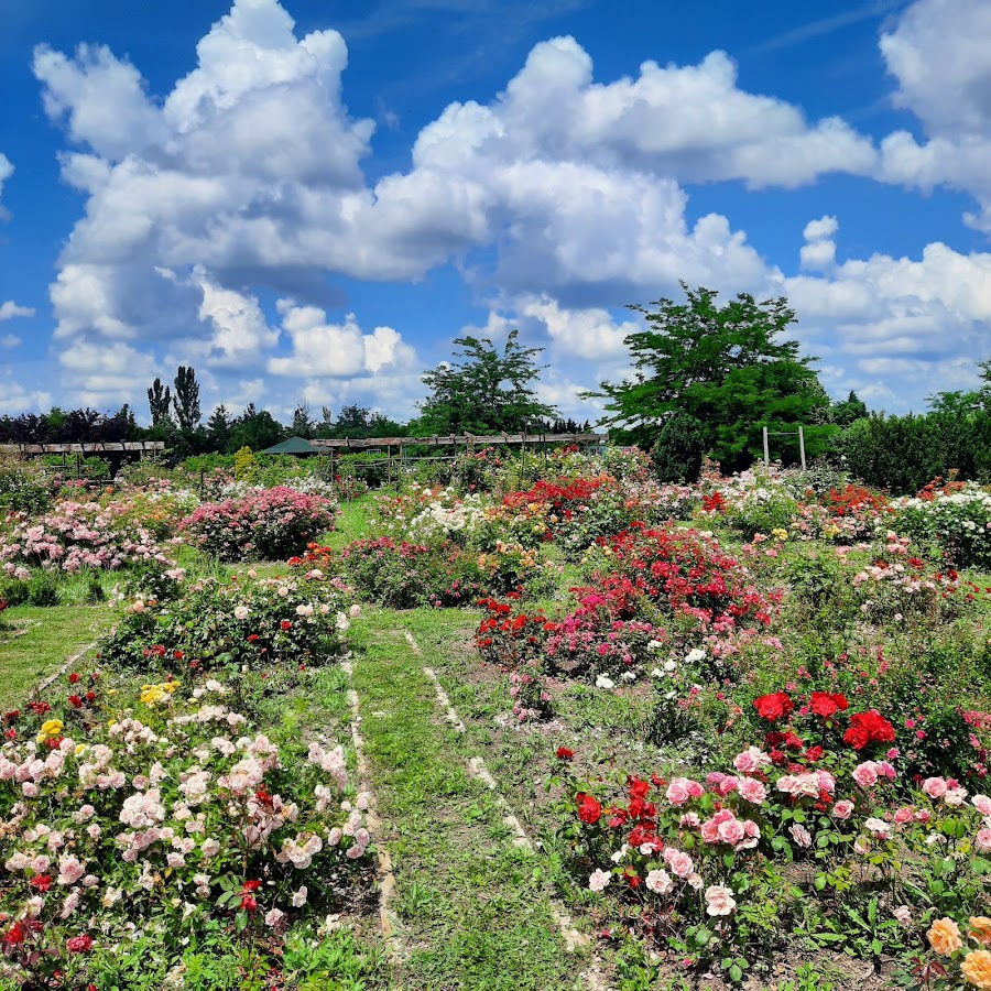 Fotografie de Eutopia Gardens Foundation - Parcul Eutopia