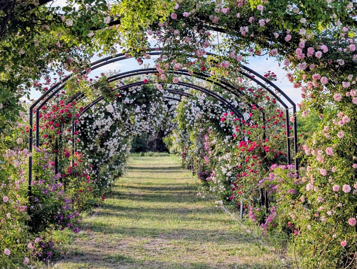 Fotografie de Eutopia Gardens Foundation - Parcul Eutopia