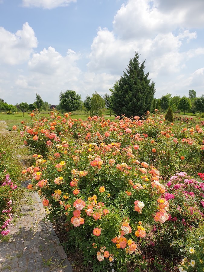 Fotografie de Eutopia Gardens Foundation - Parcul Eutopia