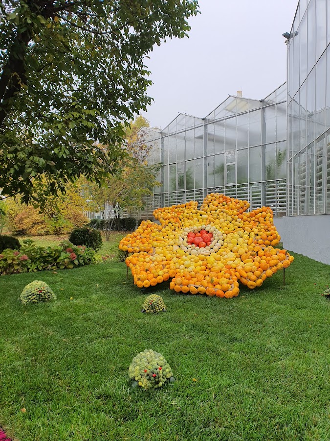 Foto des Botanischen Gartens "Anastasie Fătu"