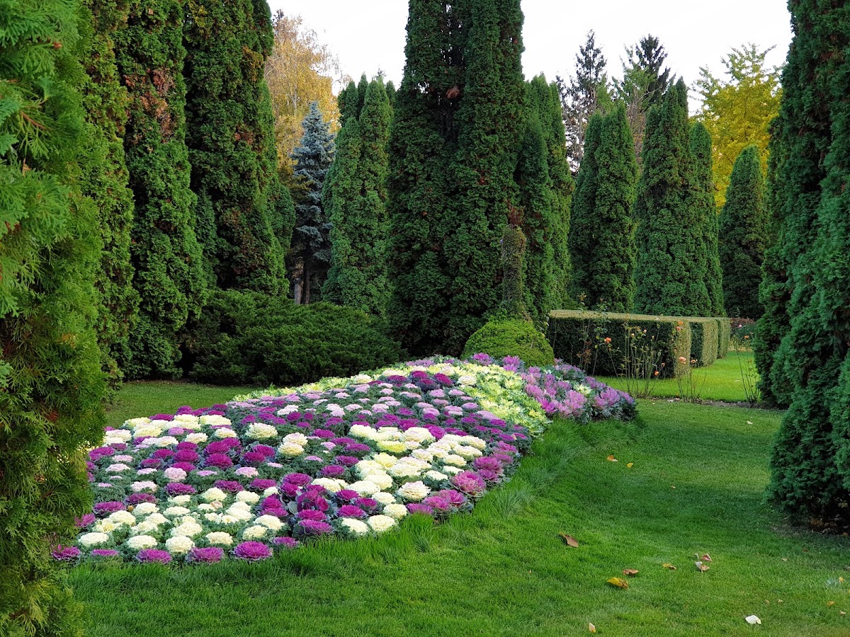 Foto von Grădina botanică "Anastasie Fătu"
