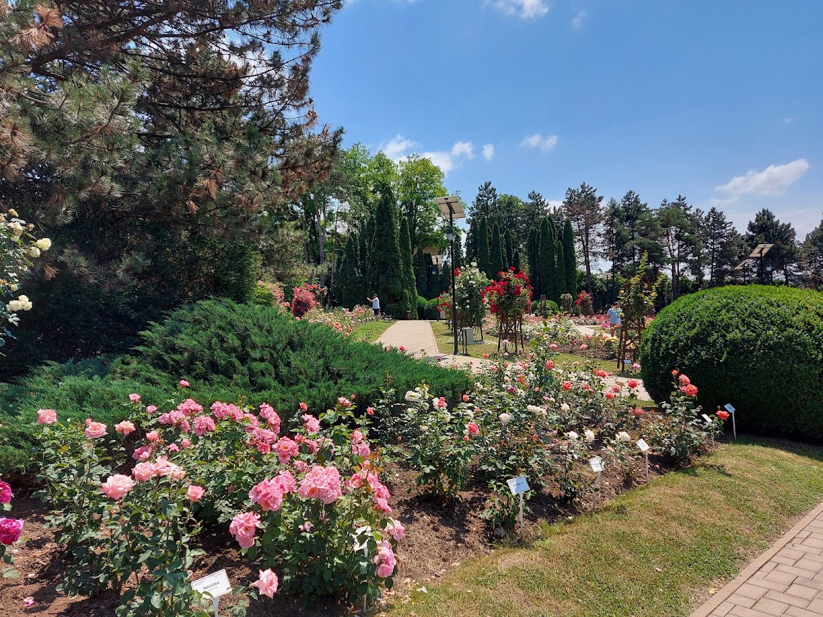 Foto von Grădina botanică "Anastasie Fătu"