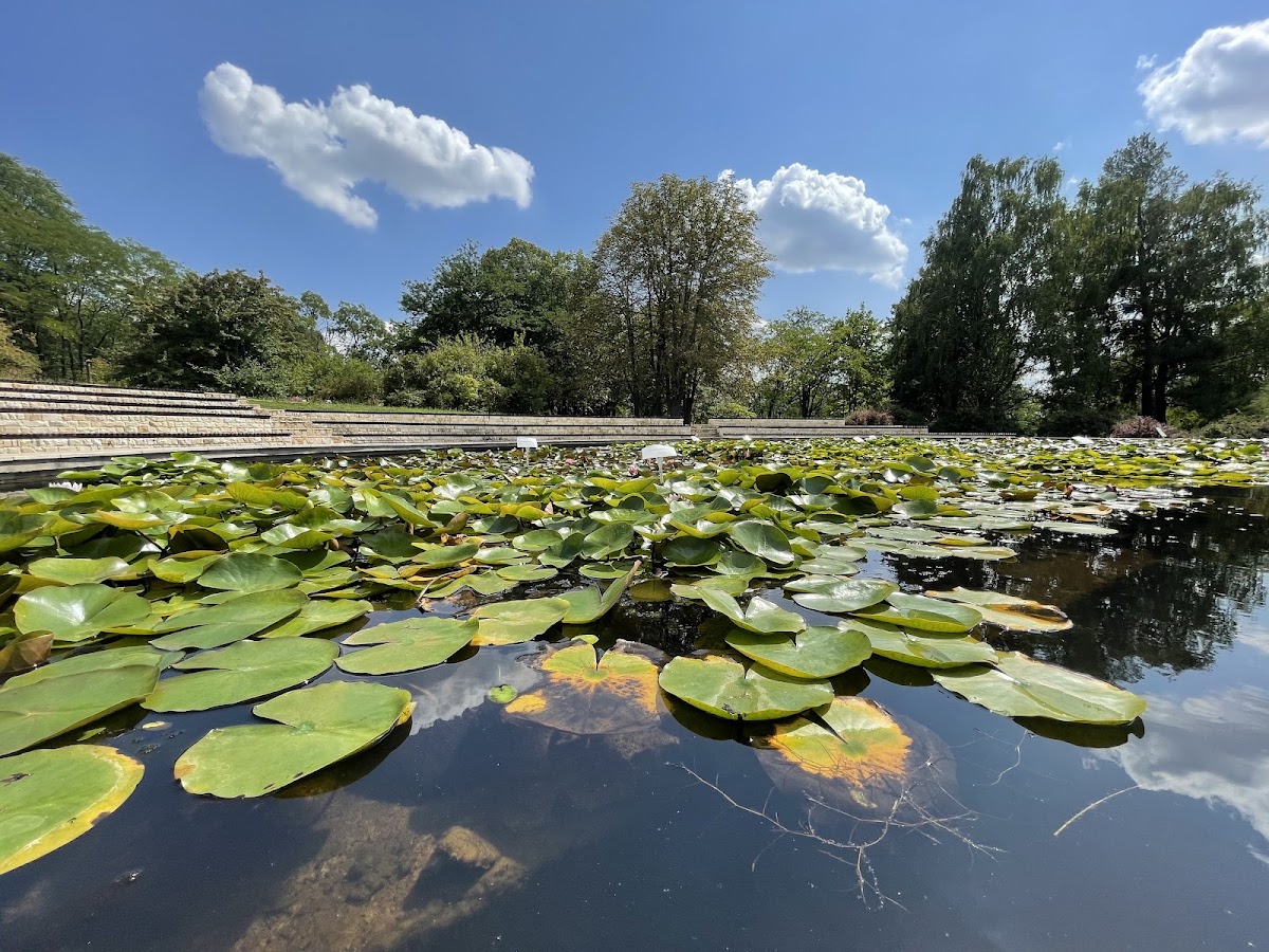 Foto von Grădina botanică "Anastasie Fătu"