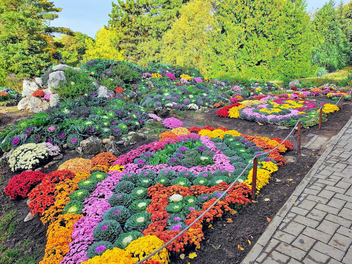Foto von Grădina botanică "Anastasie Fătu"