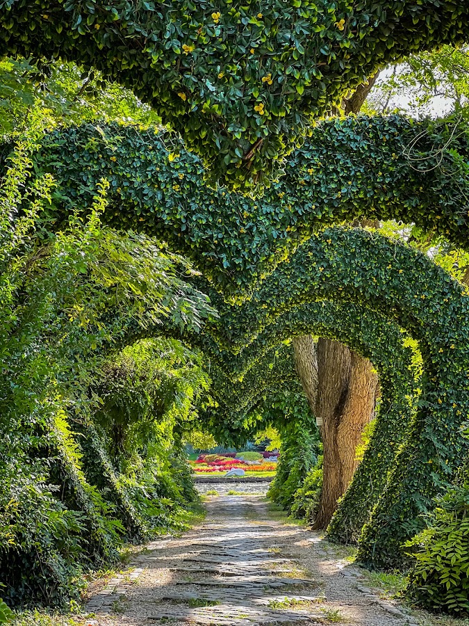 Photo de Grădina Botanică "Alexandru Buia"