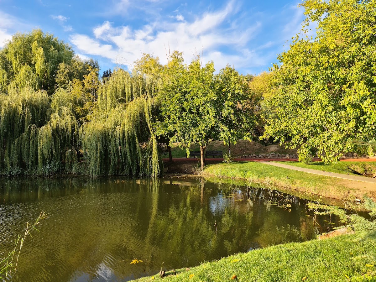 Photo de Grădina Botanică "Alexandru Buia"