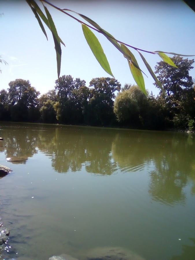 Foto von Centrul Național de Informare și Promovare Turistică