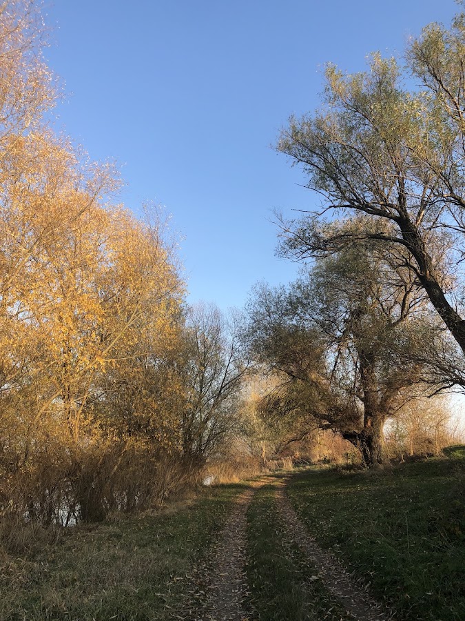 Foto von Alee Malul Muresului