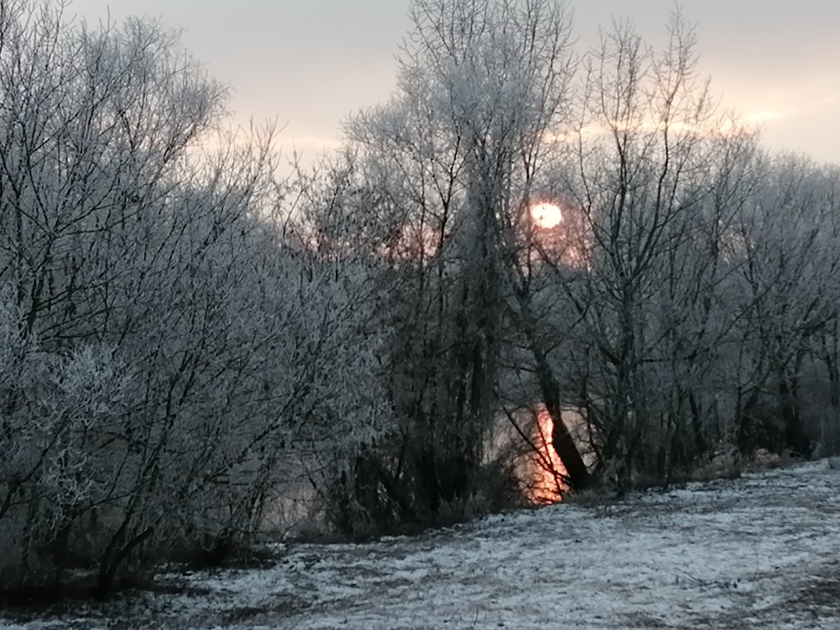 Foto von Alee Malul Muresului