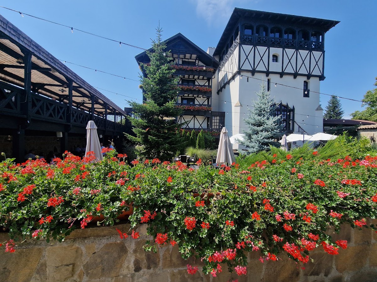 Photo of Podu' cu lanțuri- Hotel & Restaurant Bacau