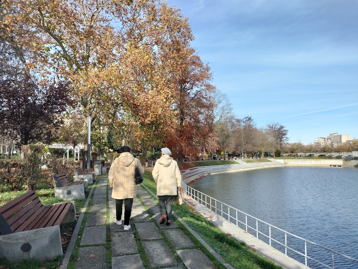 Fotografie de Lacul Pădurice