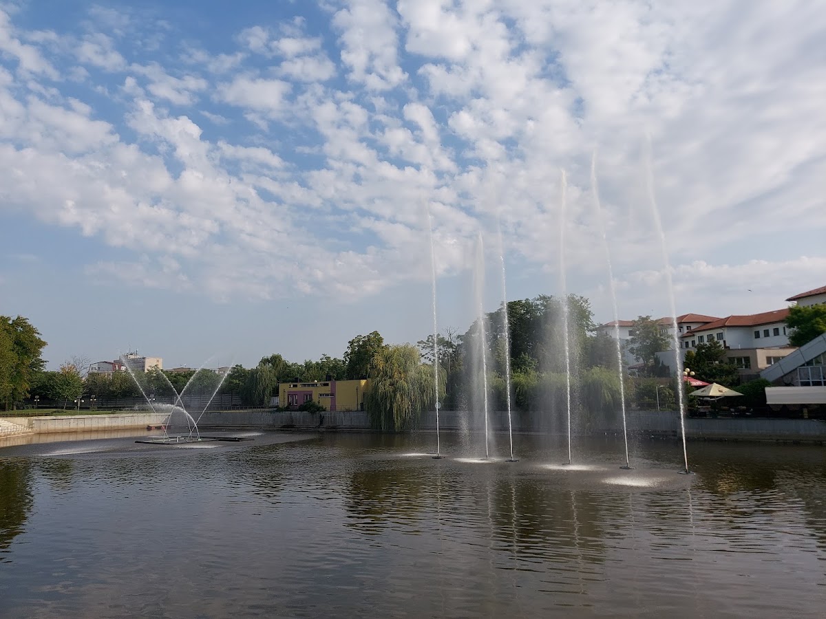 Fotografie de Lacul Pădurice
