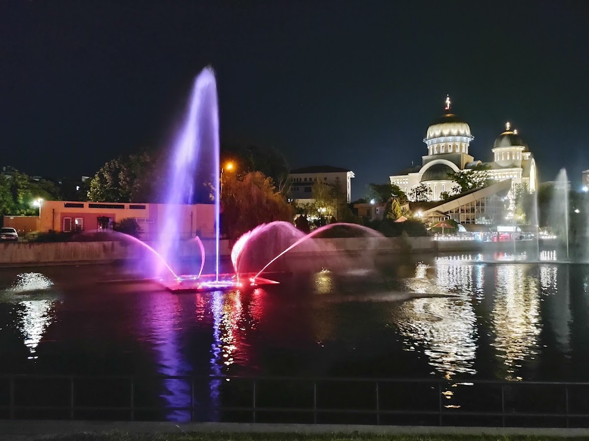 Fotografie de Lacul Pădurice