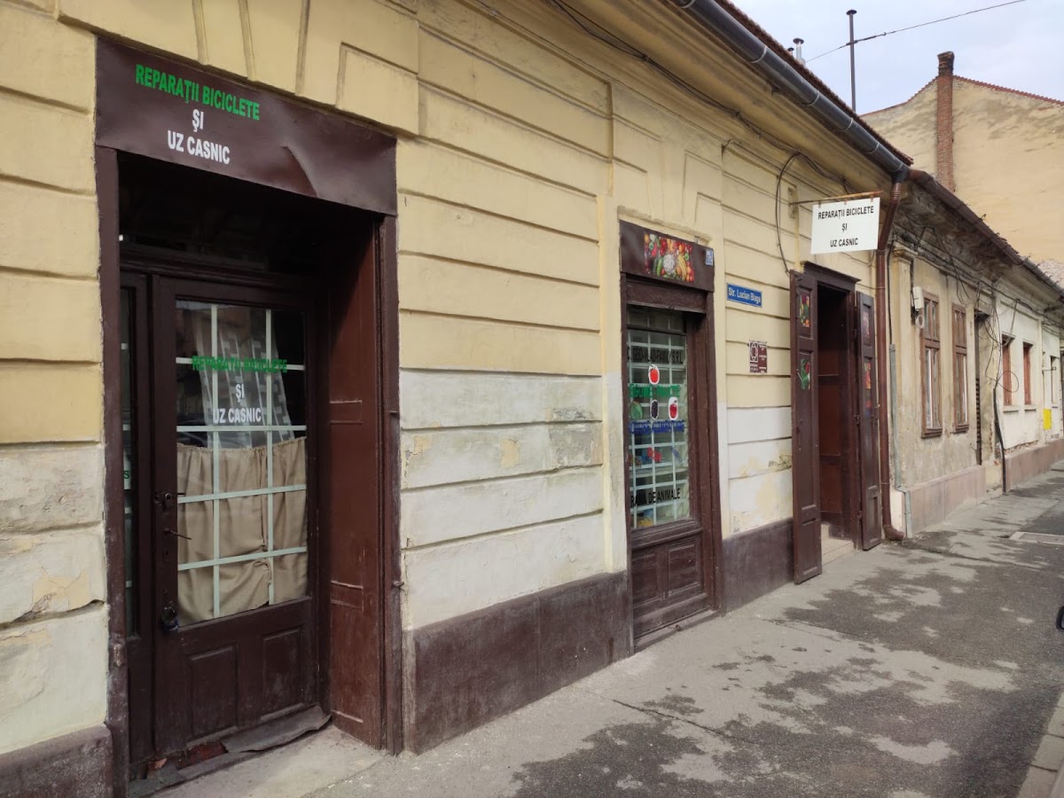 Foto von Reparații biciclete Arad