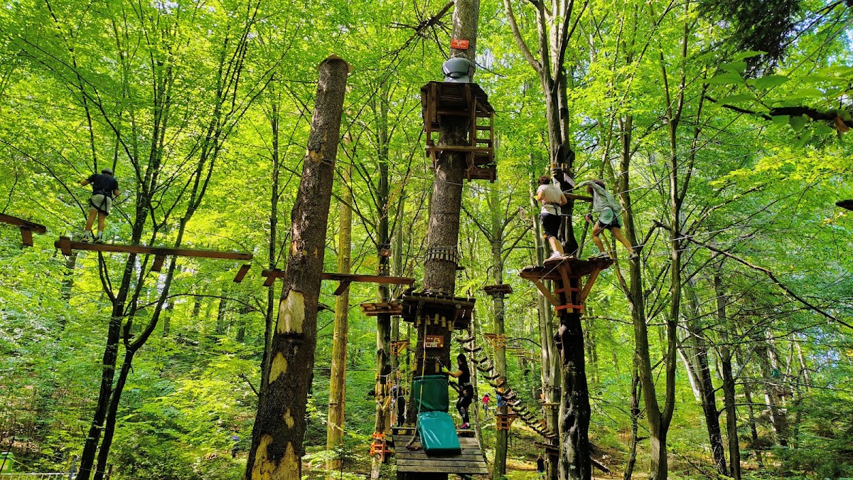 Foto di Parc Aventura Brașov