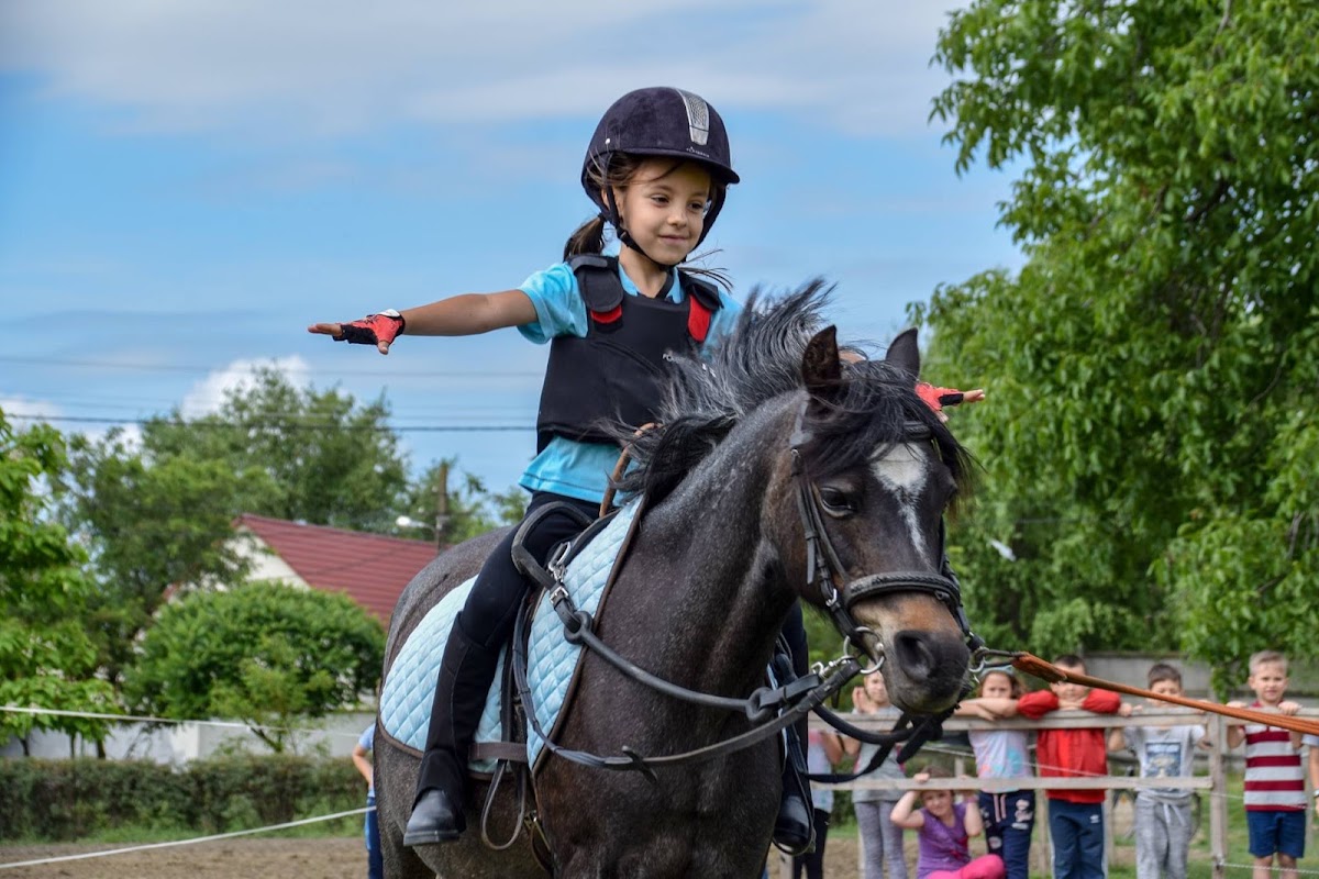 Photo of PONY CLUB ARAD
