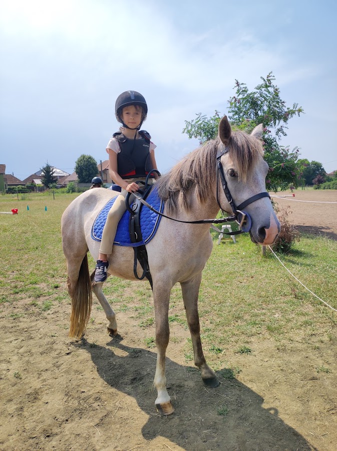 Fotografie de PONY CLUB ARAD