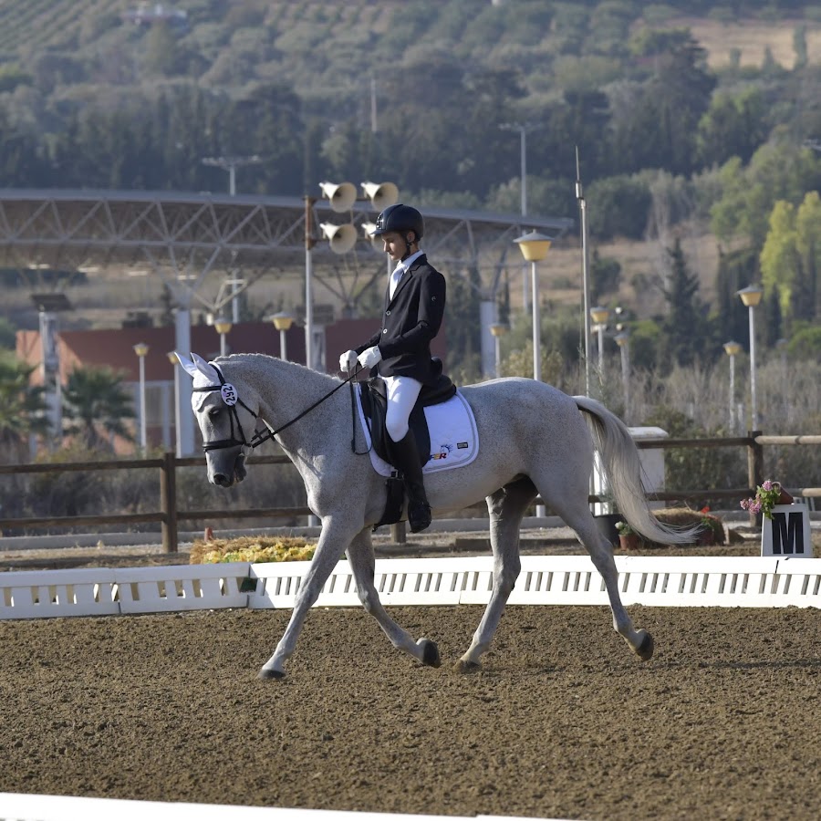 Fotografie de PONY CLUB ARAD