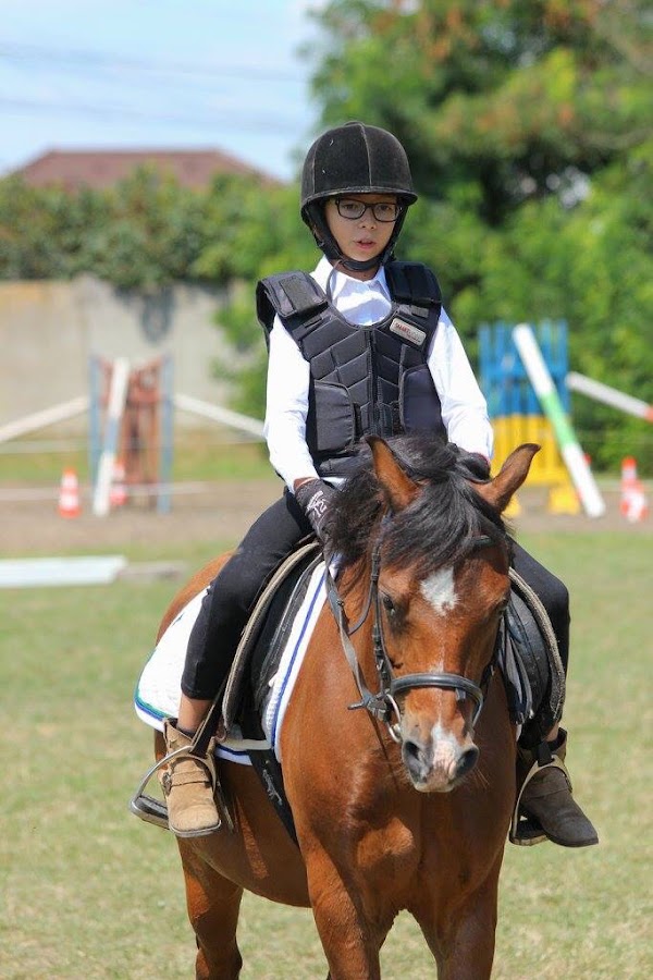 Fotografie de PONY CLUB ARAD