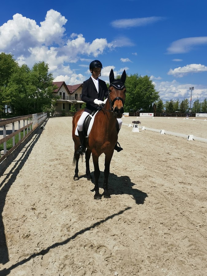 Fotografie de PONY CLUB ARAD