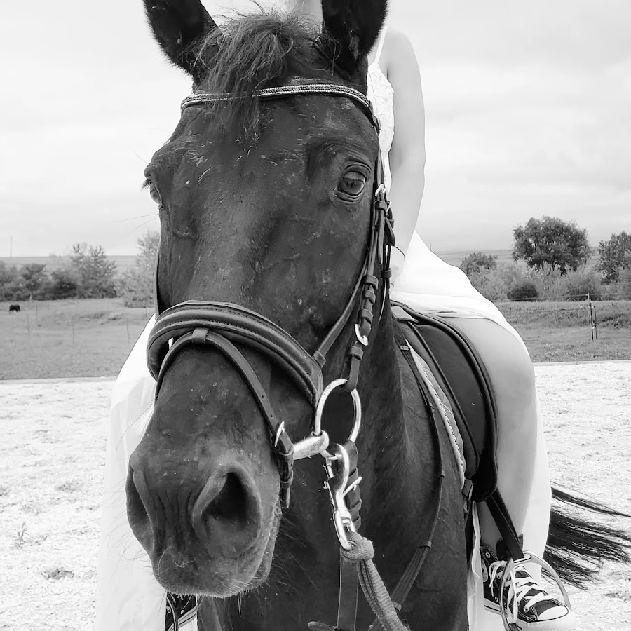 Photo of Equi Farm, Sagu Arad