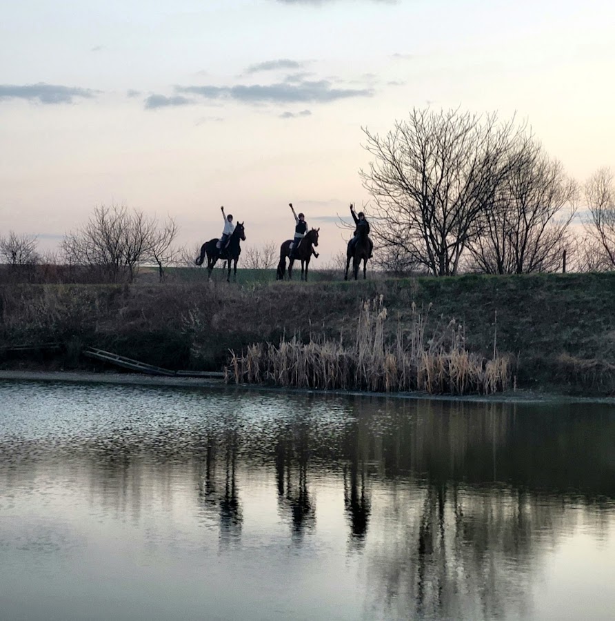 Foto von Equi Farm, Sagu Arad