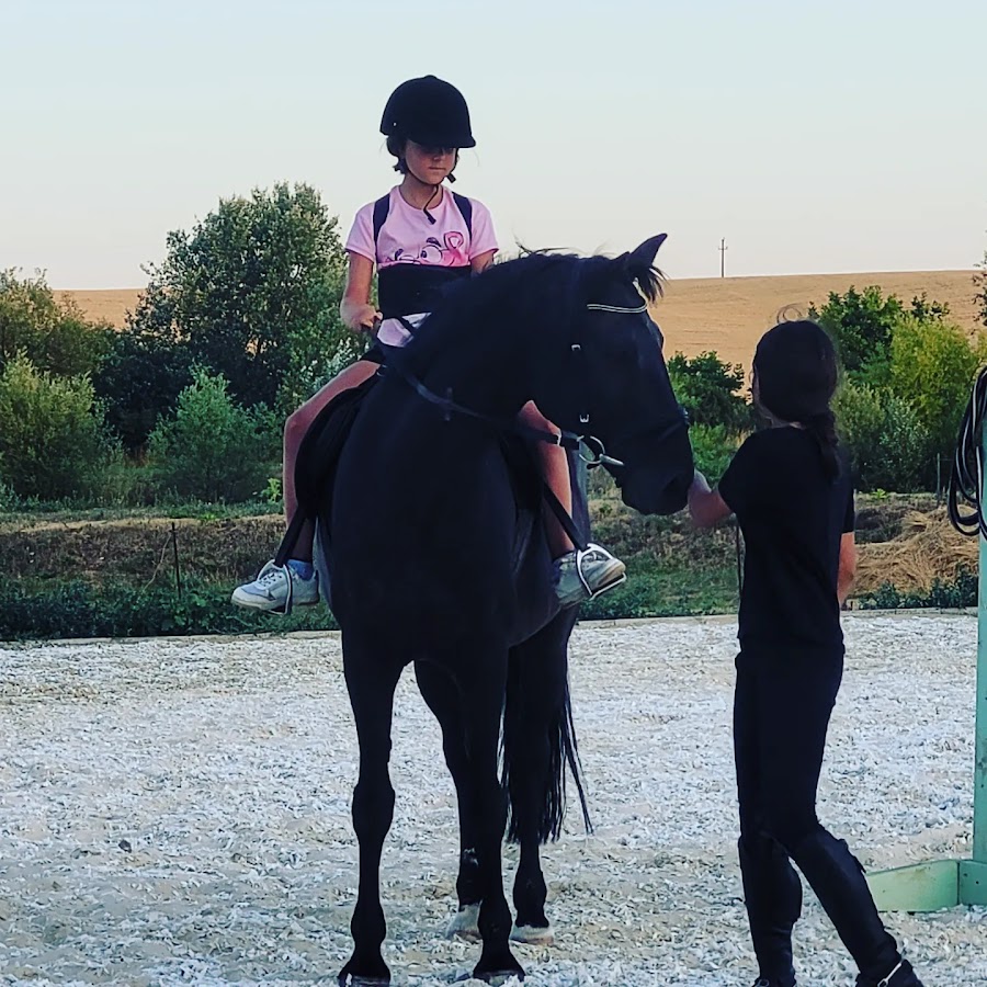 Foto von Equi Farm, Sagu Arad
