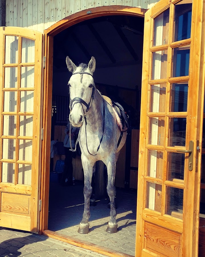 Foto von Equi Farm, Sagu Arad