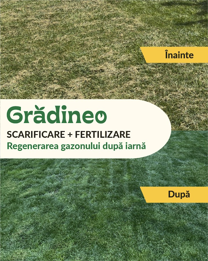 Foto von Grădineo Arad - Amenajări și Întreținere Spații Verzi