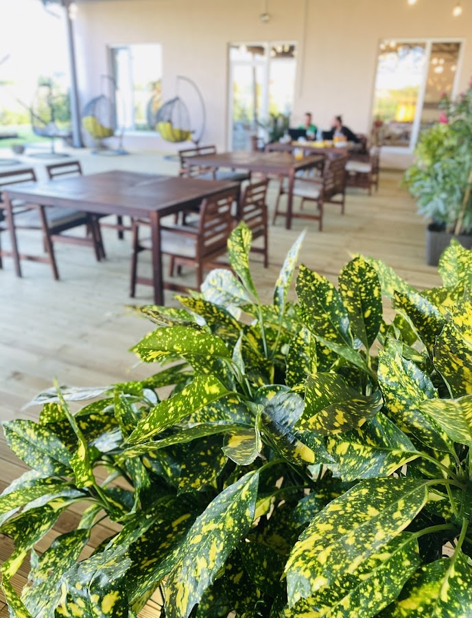 Foto di Leisure Garden