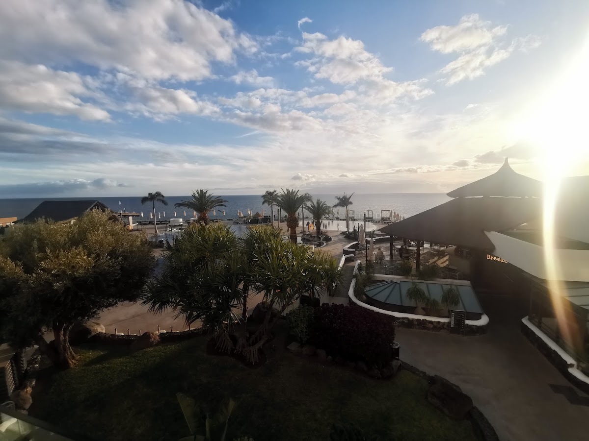 Foto di Palms Travel