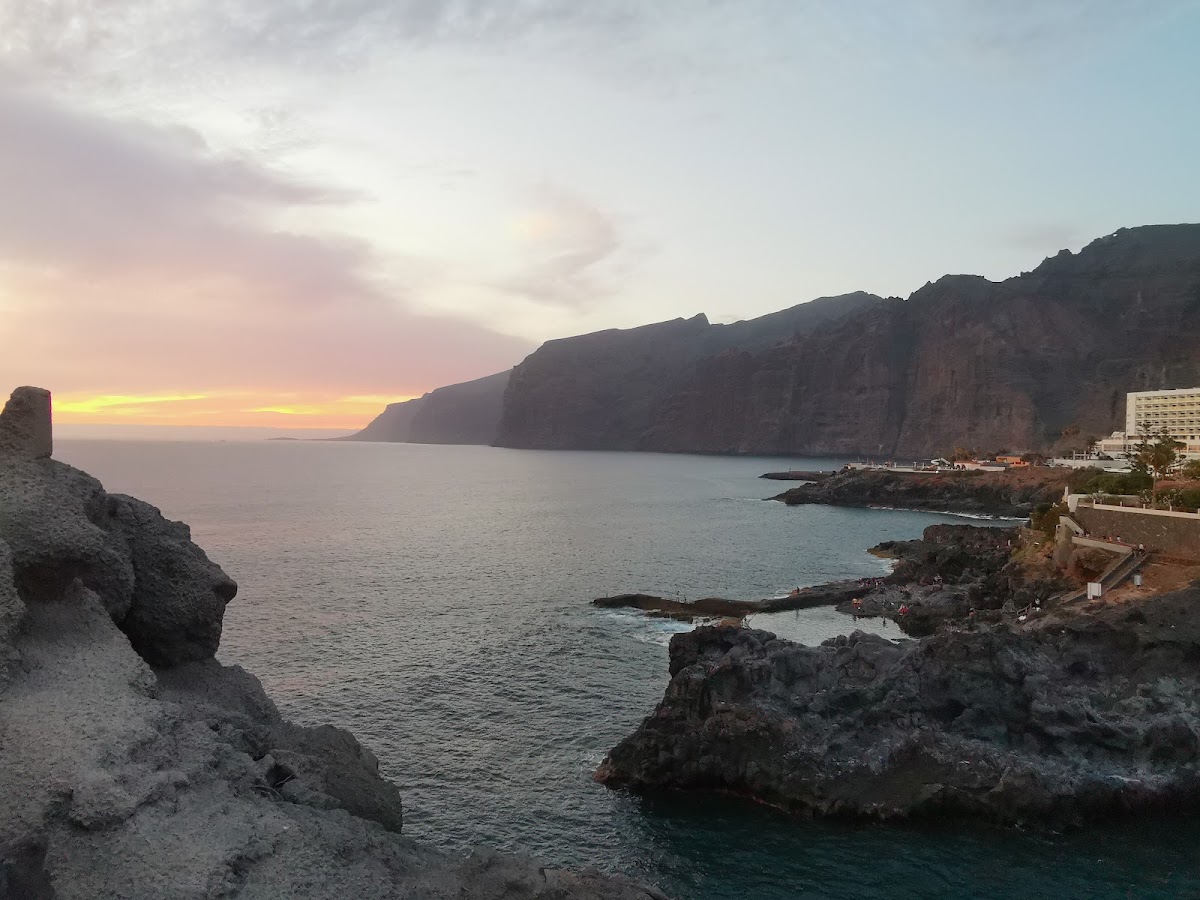 Foto di Palms Travel