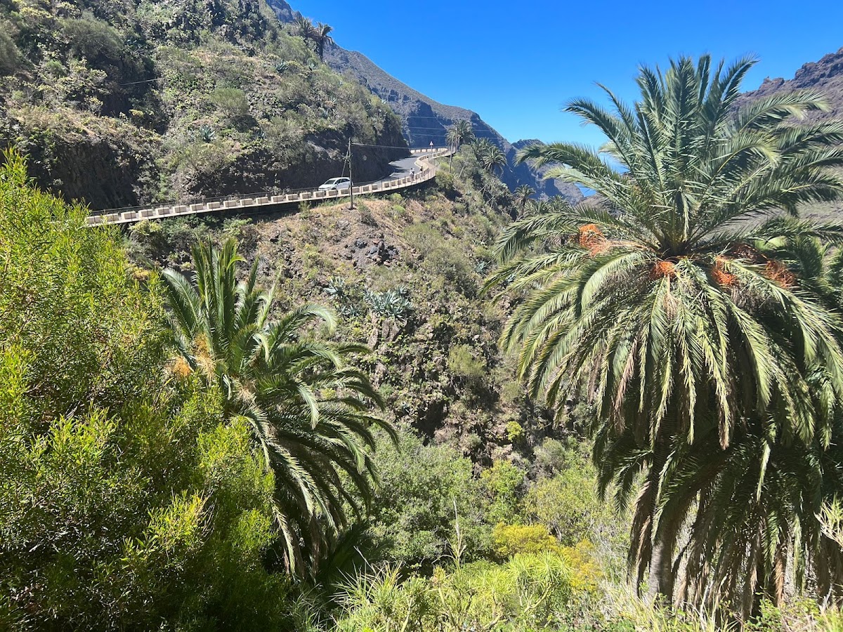 Foto di Palms Travel