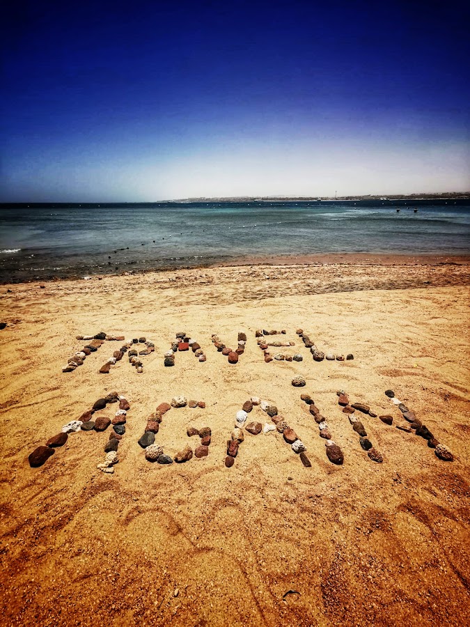 Photo of Travel Again