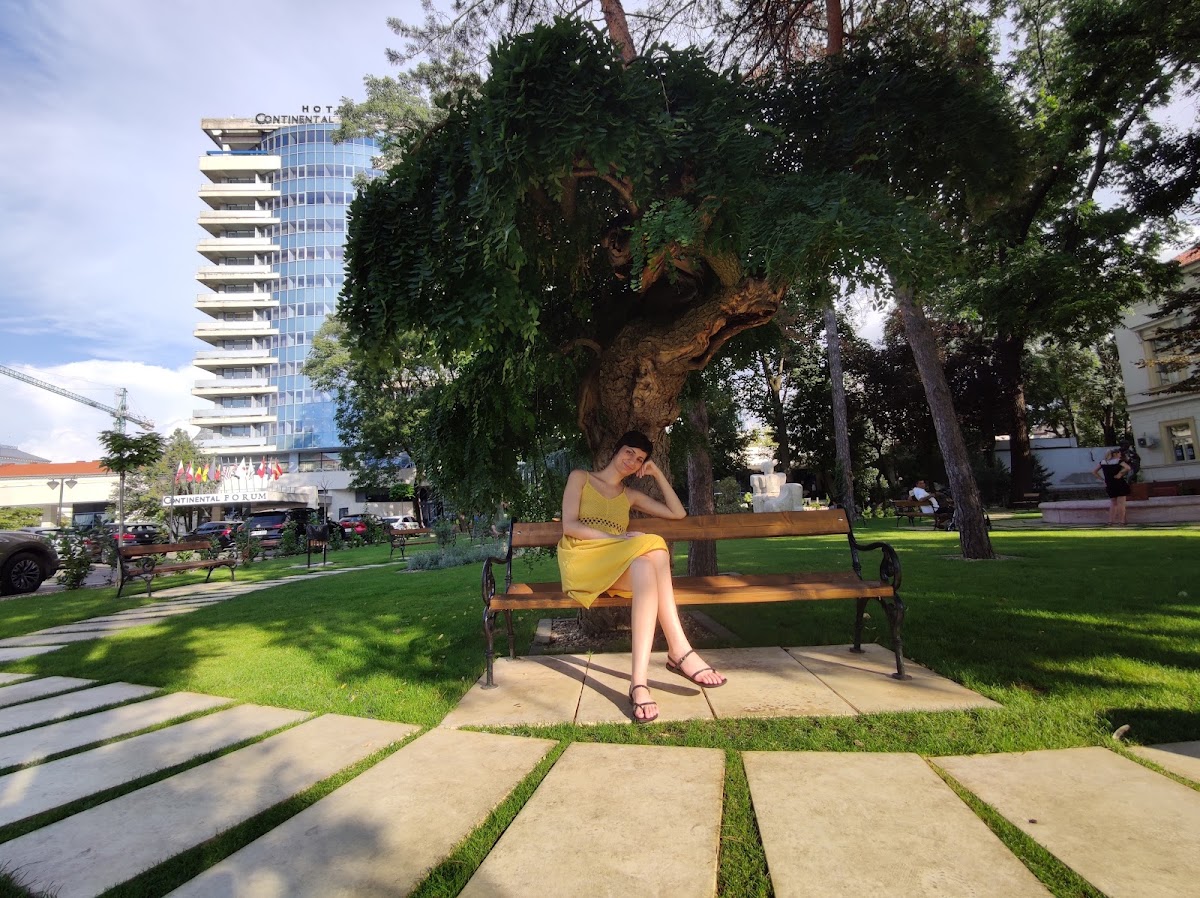 Fotografie de Vest Travel and Vacances