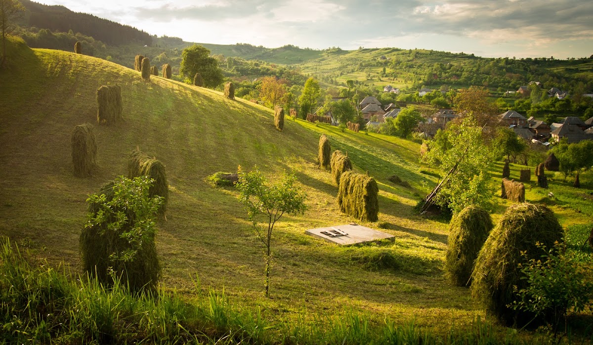 Photo of Experience Romania