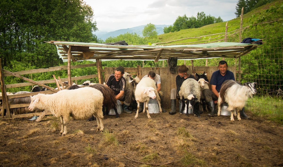 Photo de Experience Romania