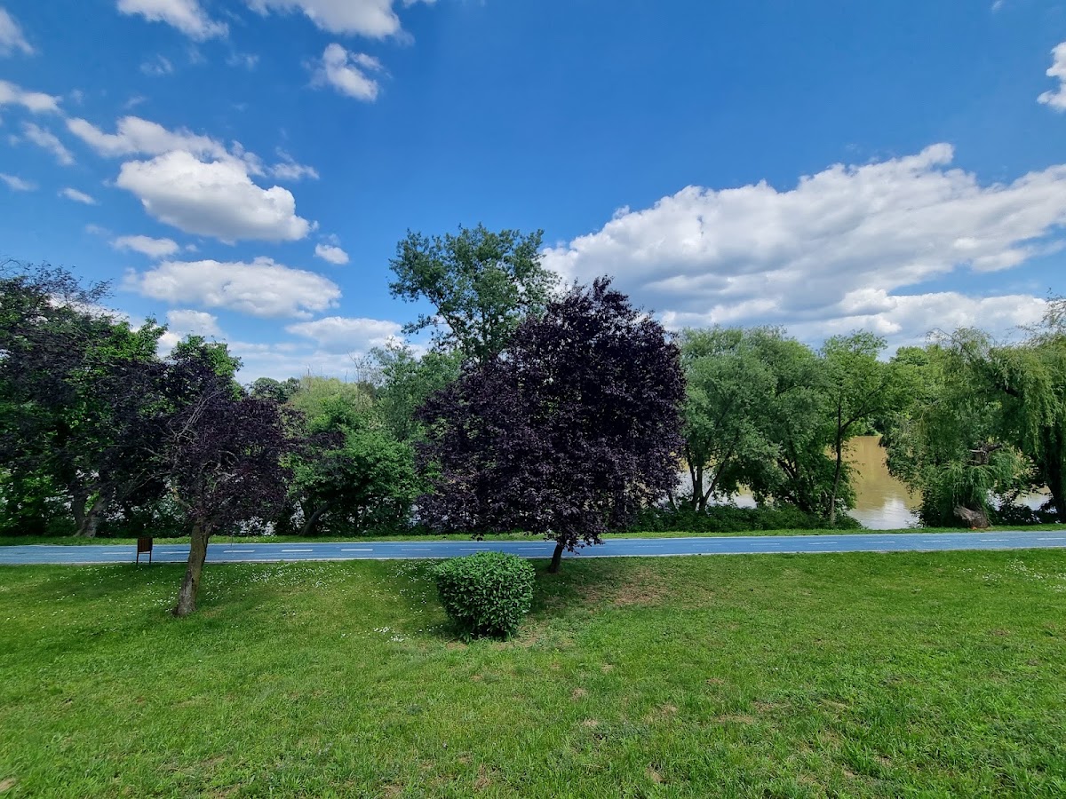 Foto von Faleza Raului Mures din Arad