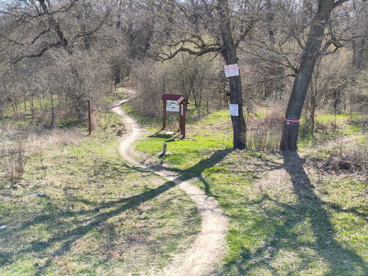 Photo of Traseul Turistic Ceala - Pecica