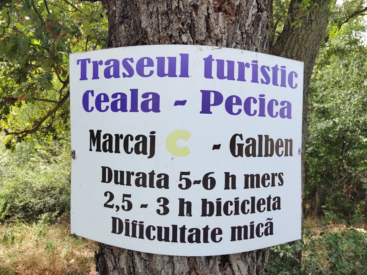 Photo of Traseul Turistic Ceala - Pecica