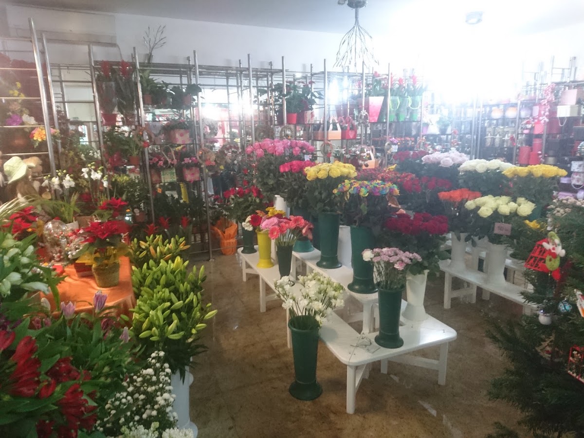 Foto von Florăria Iza