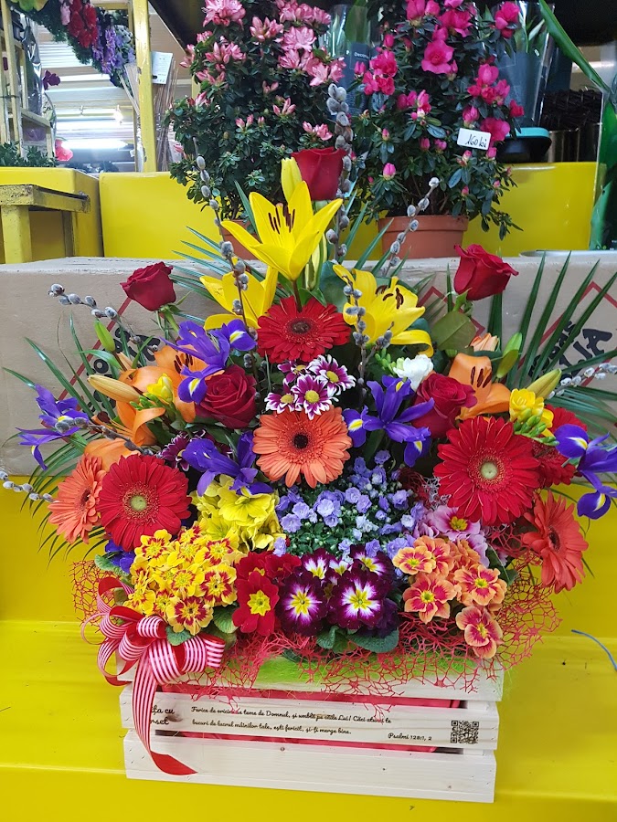Foto von Floraria Vera